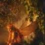 Susan Slater Photo 17