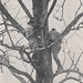 Herbert Griffith Photo 23