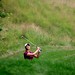 Scott Silvis Photo 16