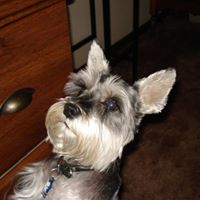 Cindy Elkins Photo 31
