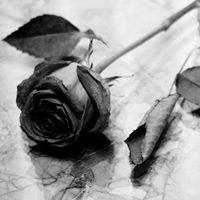 Robert Rizzi Photo 30