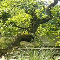 Brenda Cartwright Photo 27