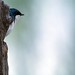 Ashwin Ramakrishnan Photo 11