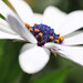Karen Bright Photo 5