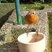 Robin Mays Photo 24