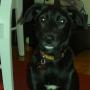 Aimee Johnson Photo 10