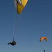Guy Cartwright Photo 12