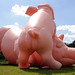 Ed Mccarthy Photo 3