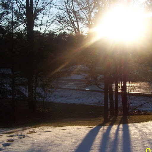 Anne Harmon Photo 14