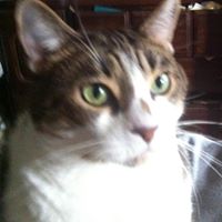 Debra Bridges Photo 9