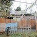 Timothy Ashley Photo 11