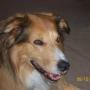 Lisa Rhoads Photo 18