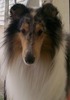 Linda Lanham Photo 29