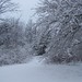 Jeffery Snow Photo 24
