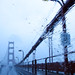Dianne Rains Photo 6