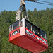 Robert Mounts Photo 20