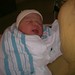 Josephine Rose Photo 13