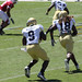 Allen Nesbitt Photo 8