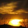 Tammy Lester Photo 40