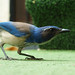 Jay Crouch Photo 20
