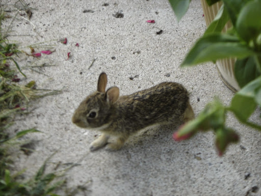 Susan Daggett Photo 4