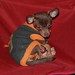 Logan Camp Photo 18