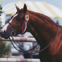 Diana Dodge Photo 26
