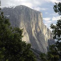 Richard Deforest Photo 16