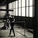 Shari Meyer Photo 16