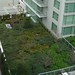 Victoria Green Photo 16