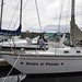 Susan Pender Photo 25