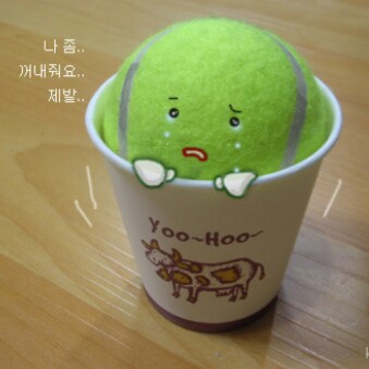 Kenneth Han Photo 9