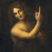 John Vinci Photo 8