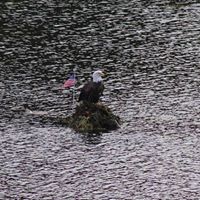 Buck Rich Photo 13