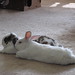 Betsy Lay Photo 11