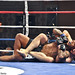 Tom Lutz Photo 14