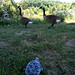 Bob Gunter Photo 19