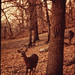 Gary Schell Photo 18