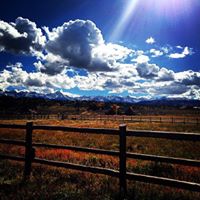 Megan Glynn Photo 26
