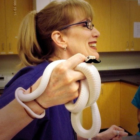 Cecilia Sullivan Photo 17