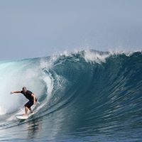 Joey Buchanan Photo 40