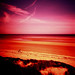 Diana Wright Photo 17