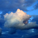 Roger Carns Photo 9