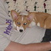 Kirby Lay Photo 6