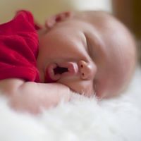 Elizabeth Proffitt Photo 13
