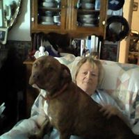 Barbara Elkins Photo 10