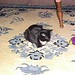 Betty Eldridge Photo 15
