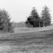Zachary Stern Photo 11