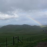 Suzanne Skaggs Photo 14