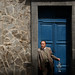 Humberto Silva Photo 18